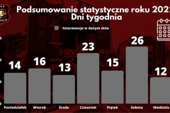 Podsumowanie statystyczne 2022