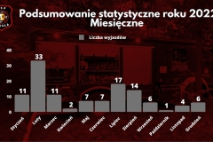 Podsumowanie statystyczne 2022