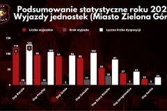 Podsumowanie statystyczne 2022